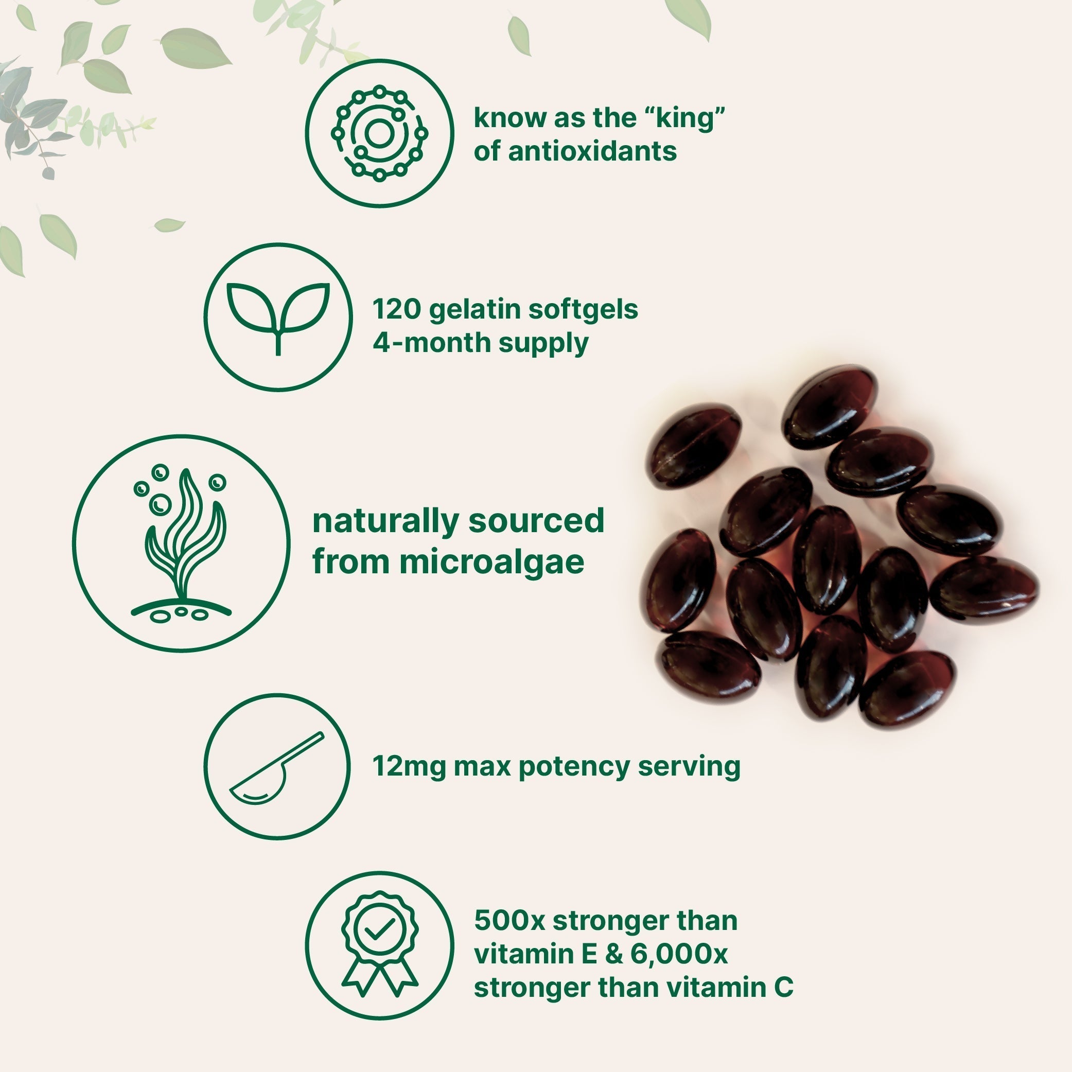 Micro Ingredients Astaxanthin 12mg