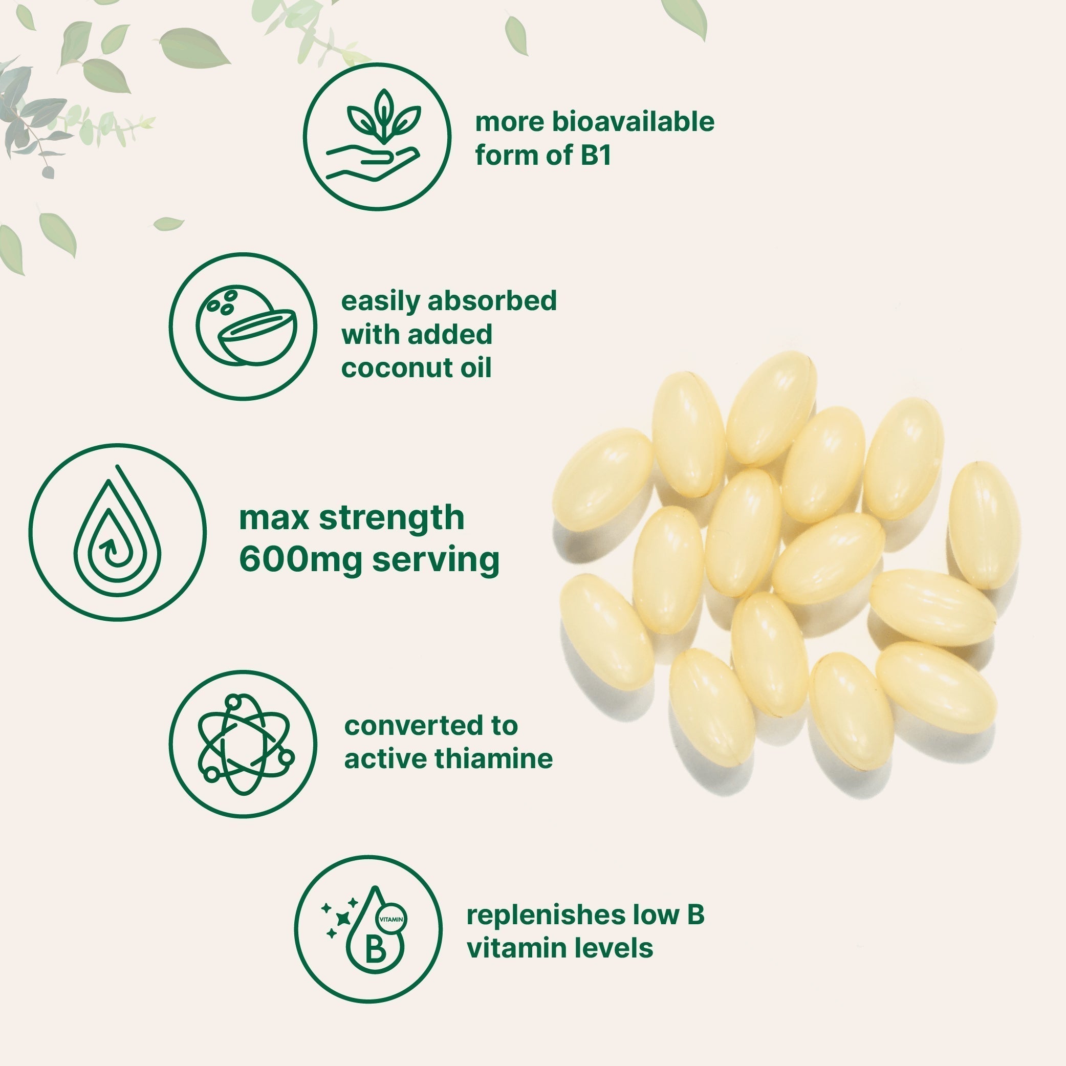 Micro Ingredients Vitamin B1 Benfotiamine, 240 Coconut Oil Softgels